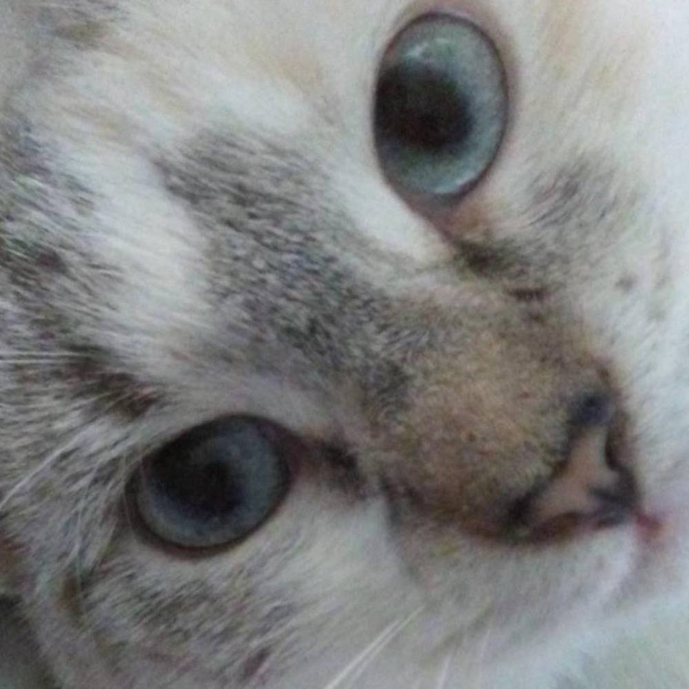 Meet your Posher, Jaime